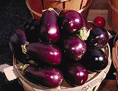 Aubergine