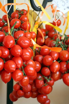 Tomates cerises confites au four 