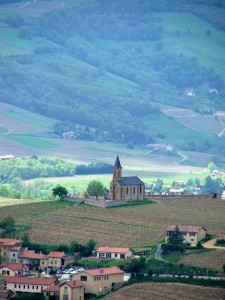 cuisine italienne, vignoble du beaujolais