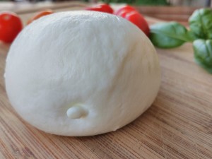 cuisine italienne, mozzarella